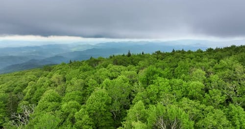 Nature Landscape of Tennessee Appalachian Mountains Mountain Forest with Green Canopies in Summer