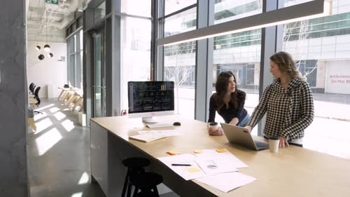 Businesswomen at Laptop Planning in Office Conference Room 2529 Years