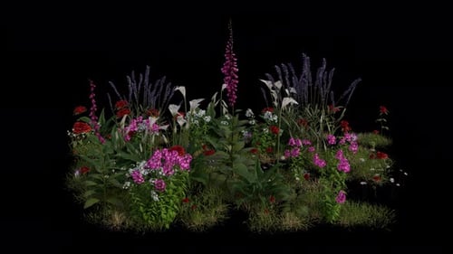 Mix Flower Field blowing in the wind Loop Animation. Alpha Channel. Loop Animation