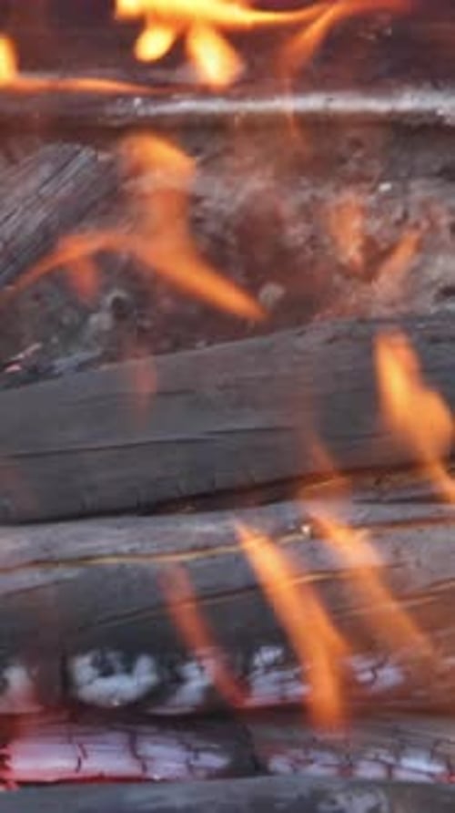 Flame of Fire Burns in Fireplace Burning Wood