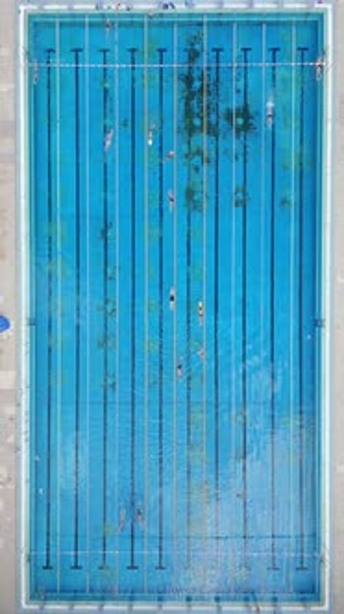 Group of People Swimming in a Pool