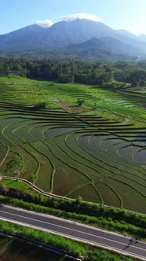 beautiful morning view indonesia panorama landscape paddy fields with beauty color and sky natural