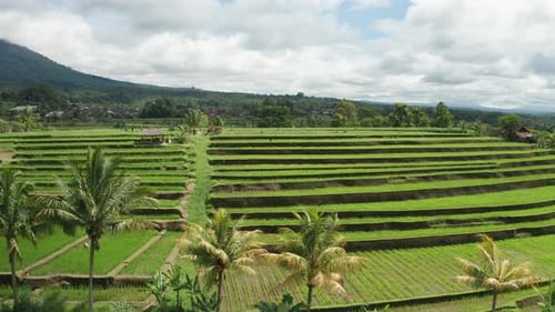Aerial of Jatiluwih Rice Terraces, Bali, Indonesia
