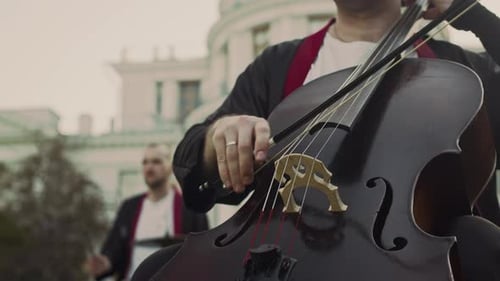 Professional Musician Playing Cello during Outdoor Jazz Concert in Park
