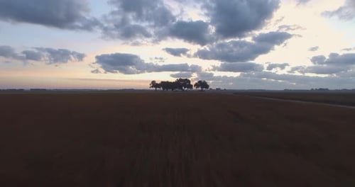 Soaring over grassy field towards a group of trees on southern farm fields at sunrise. 4k Drone esta