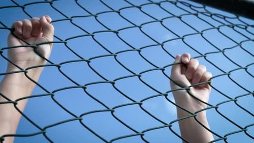 Hands Grip Chain Link Fence against Blue Sky