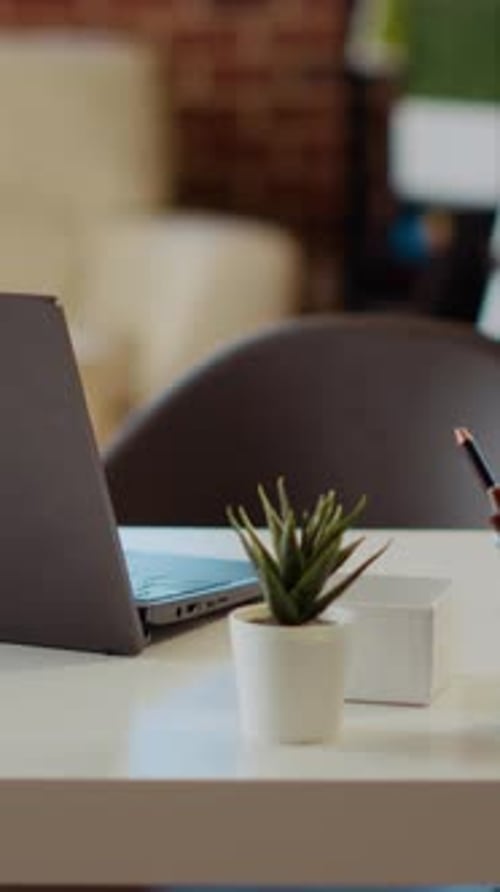 Vertical Video Laptop on Desk Next to Mini House Plants in Cozy Stylish Empty Apartment