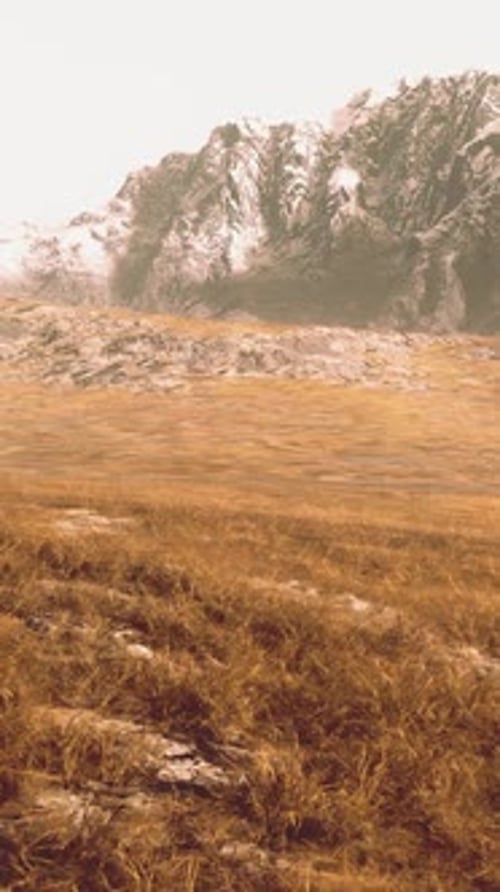 Plain with Dried Grass and Mountain Peaks in the Background