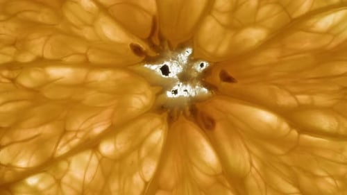 Orange Fruit with Water Closeup Macro Slice of Fresh Exotic Orange Fruit Texture Background Health
