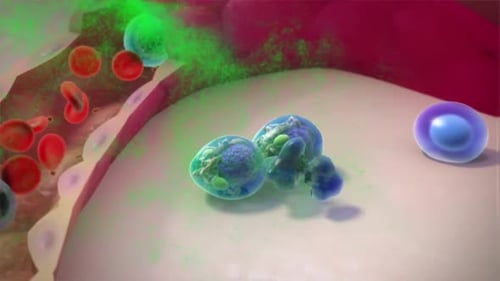 3D Animated Medical Illustration of Blood Cells and Cellular Interaction
