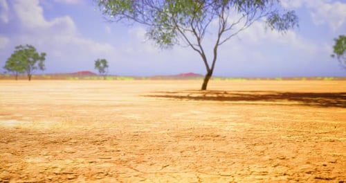 Arid Desert Landscape Animation with Cracked Earth and Trees