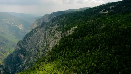Aerial View of Mountainous Forest Landscape