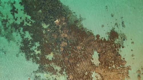 Beautiful sea details.