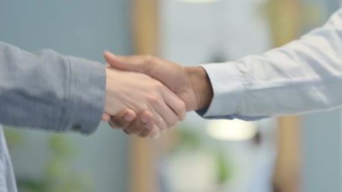 Young Business People Shaking Hand for Collaboration