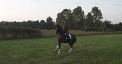 Slow motion of young carefree male is riding a purebred brown horse in nature on a sunset.