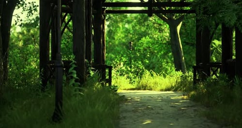 Lush Pathway Through a Green Forest with Wooden Framework in Daylight