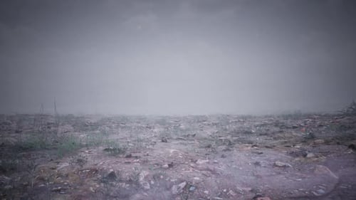 Foggy Desolate Landscape