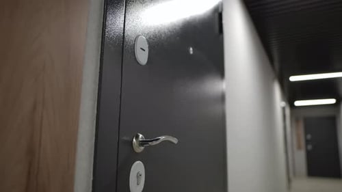 Metal Entrance Door to Apartment in Corridor in New Building