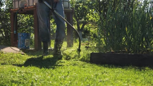 Männlicher Gärtner mäht grünen Rasen mit manuellem Gasrasenmäher Gartenpflege