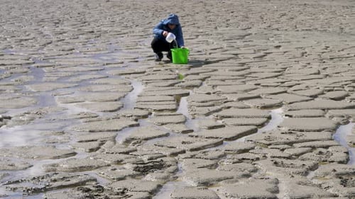 Drought