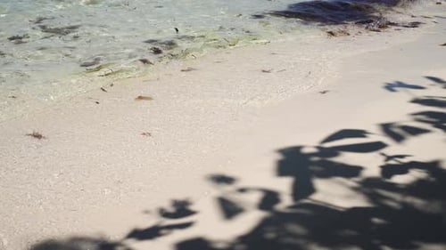 Circuito de playa de la isla Karimunjawa