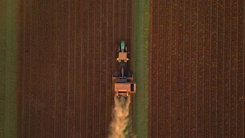 Luftaufnahme von oben nach unten eines Traktors, der Reihen auf einem landwirtschaftlichen Feld pflügt und dabei eine Staubspur erzeugt