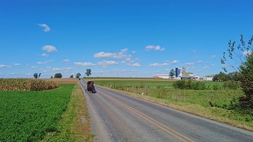 An Amish Horse and Buggy Approaching Down a Country Road Passing Farms, in Slow-Motion on a