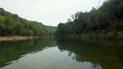 river covered with dense green forests and water reflection at morning from flat angle