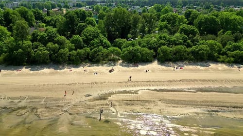 Aerial drone fly above low tide coastline near big green forested, trees area