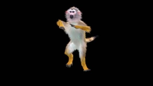 62 Hip Hop Dancing Monkey Dance HD