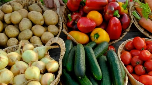 Farmers Market with Vegetables Selective Focus