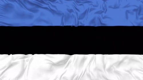 Estonia National Flag Realistic Waving Loop Animation