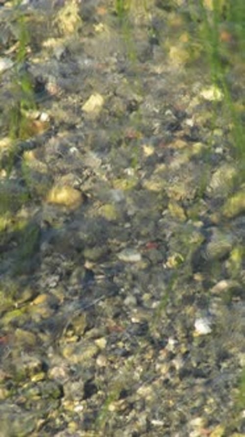 Water stream and pebbles in a river seen from above. 4K Vertical