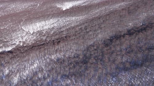 Drone Aerial Video Flying Forward Towards Snowy Mountain and Forest in Abruzzo Italy