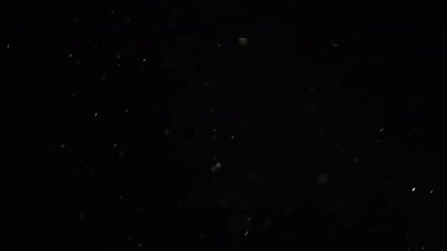 Particles black background
