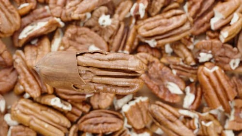Slider shot. Pecan nut rotating against the background of peeled nuts, top view.