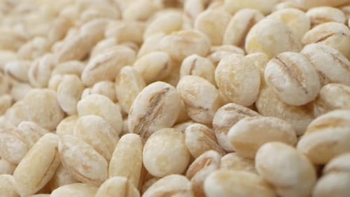 Pile of Pearled Barley Close Up
