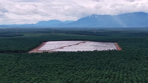 Aerial View Solar Panel Array Near Oil Palm Farm