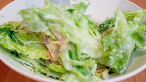 Saladier de légumes frais en gros plan, salade de légumes biologiques sains au thon.