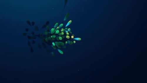 Animation mit blauen und gelben Partikeln