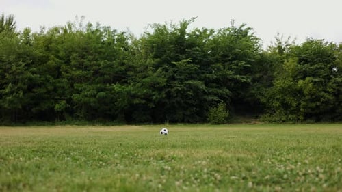 Man Kicking Soccer Ball on Grassy Field