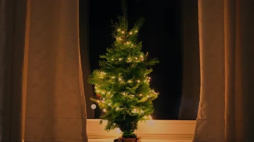 Festive Christmas Tree with Lights by Window