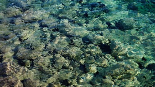 Clear Sea Water And Stone As Background