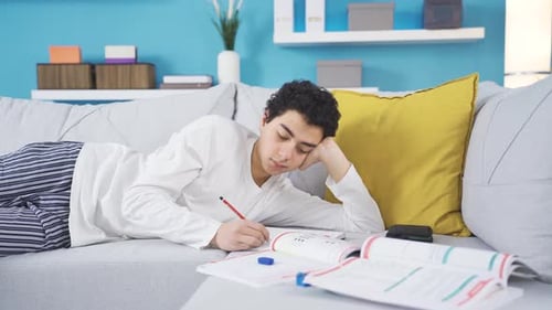 Happy male student studying in a relaxed state resting on the sofa.