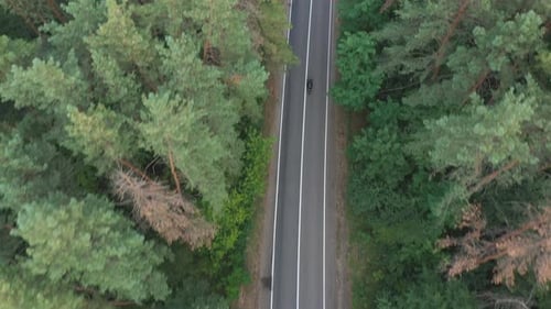Man Riding on Motorbike Through Forest Road Motorcyclist Racing His Motorcycle on Country Route Guy