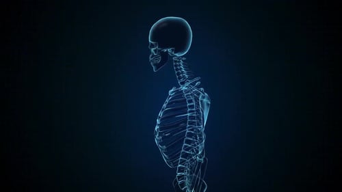 Rotating Human Skeleton X-Ray Hologram Medical Animation