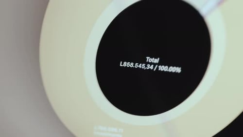 Gráfico circular exibindo a quantia total de dinheiro de um aplicativo financeiro