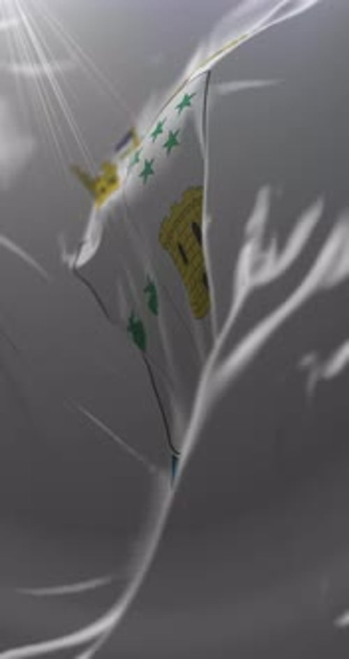 Flag of Talcahuano