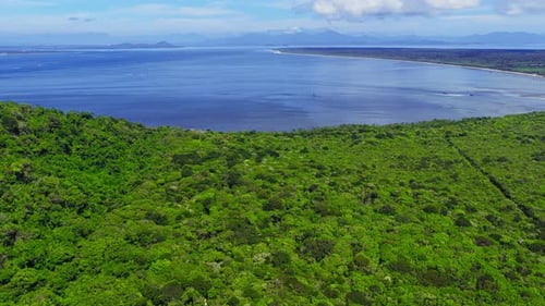 Atlantic Forest Coastal Landscape – Lush Tropical Forest Nature Footage