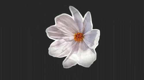 White Paper Flower Overlay